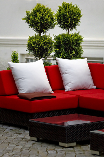 Lounge rot